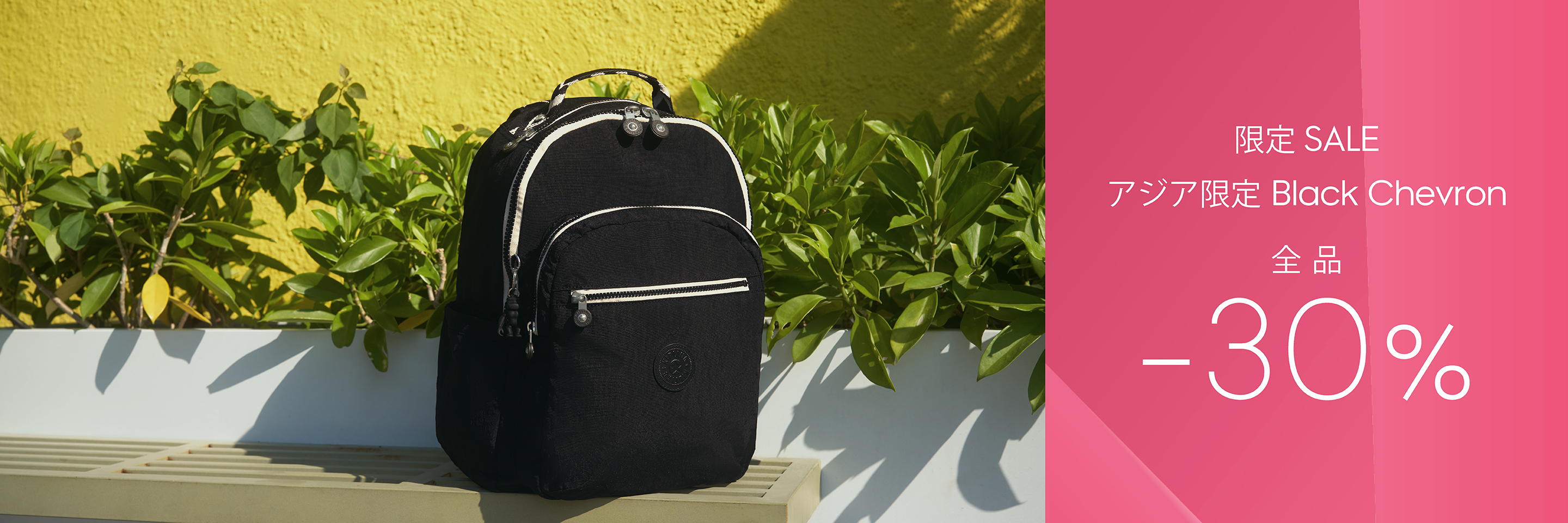 限定SALE (Black Chevron)