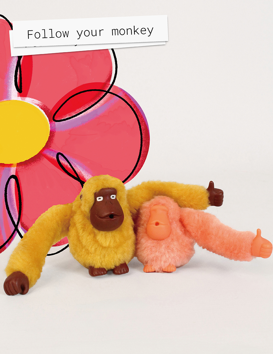 「Fllow your monkey」あなたのkipling「モンキー」をみつけて！